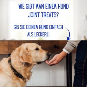 Ergänzungsfuttermittel für gesunde Gelenke bei Hunden - Joint Treats – Bild 5