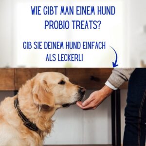 Probiotikum für gesunde Verdauung bei Hunden – Probio Treats – Bild 5