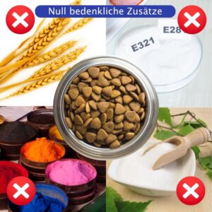 Petformed Prime Meat Hundefutter Lamm mit Lachs – Bild 3
