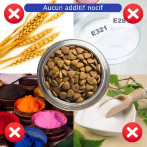 Croquettes Petformed Prime Meat Agneau au saumon – Image 3