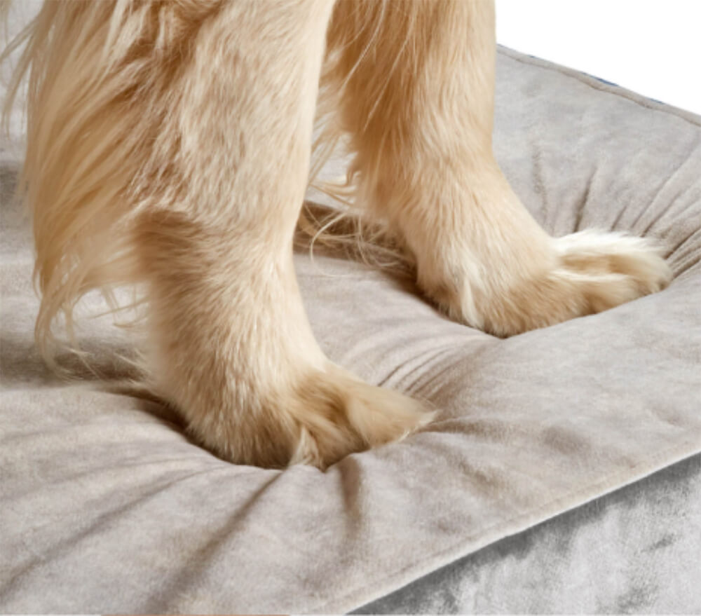 Psy - wizualizacja klatki (1)