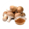 Agaricus Blazei