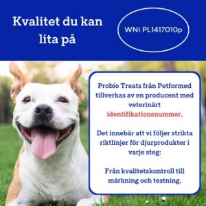 Probiotika för hundars hälsosamma matsmältning – Probio Treats - Bild 2