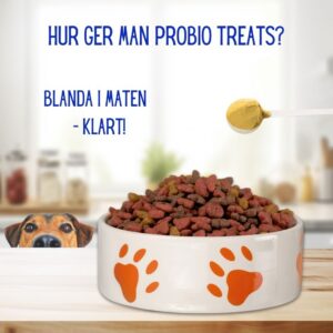 Probiotika för hundars hälsosamma matsmältning – Probio Treats - Bild 5