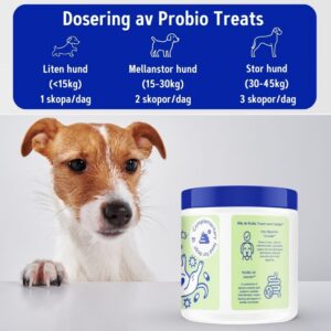 Probiotika för hundars hälsosamma matsmältning – Probio Treats - Bild 7
